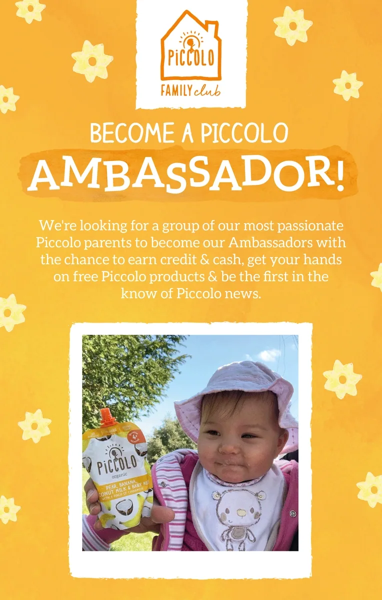 Email Newsletter Marketing — Piccolo (5 of 6)