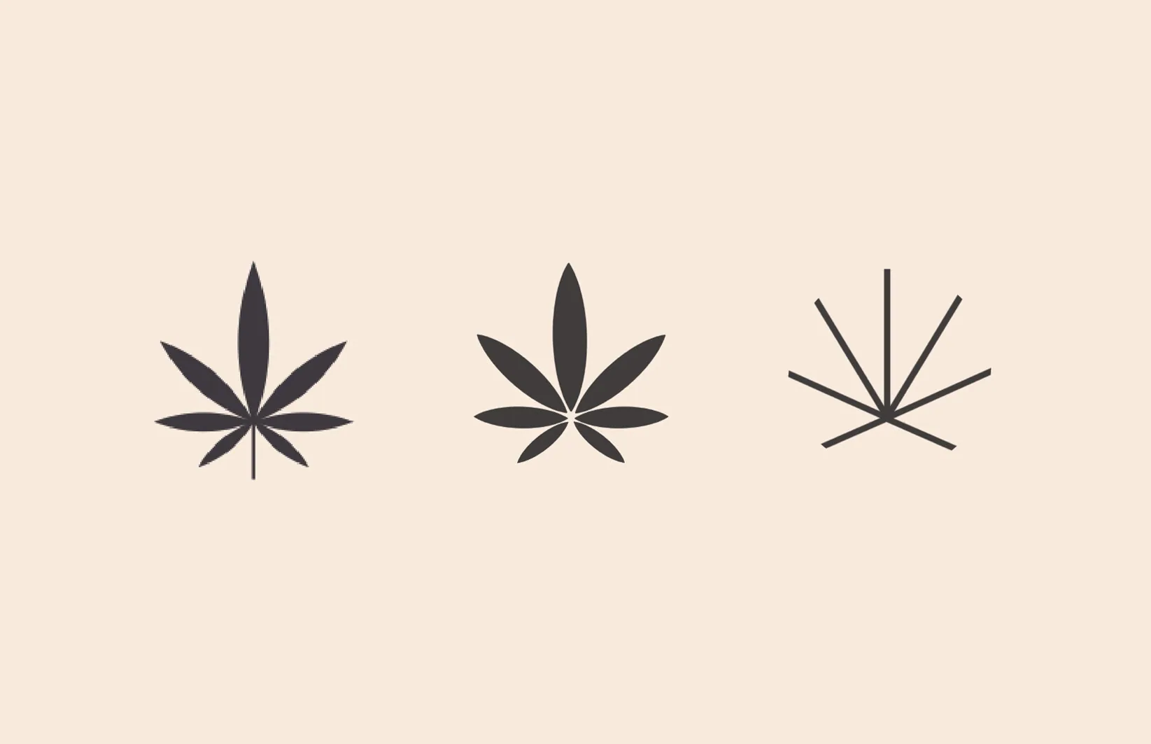 Logo and Colour Palette Development — Umber (1 of 2)